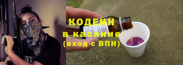 хмурый Сосновый Бор